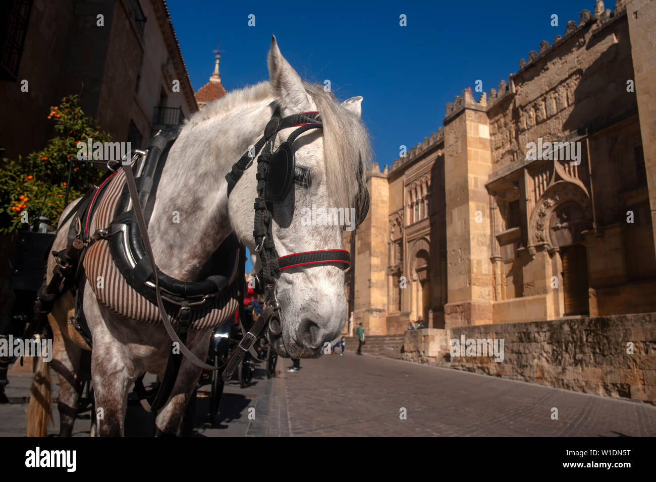 Passeggiata attraverso le strade della città di Cordoba, Spagna Foto Stock