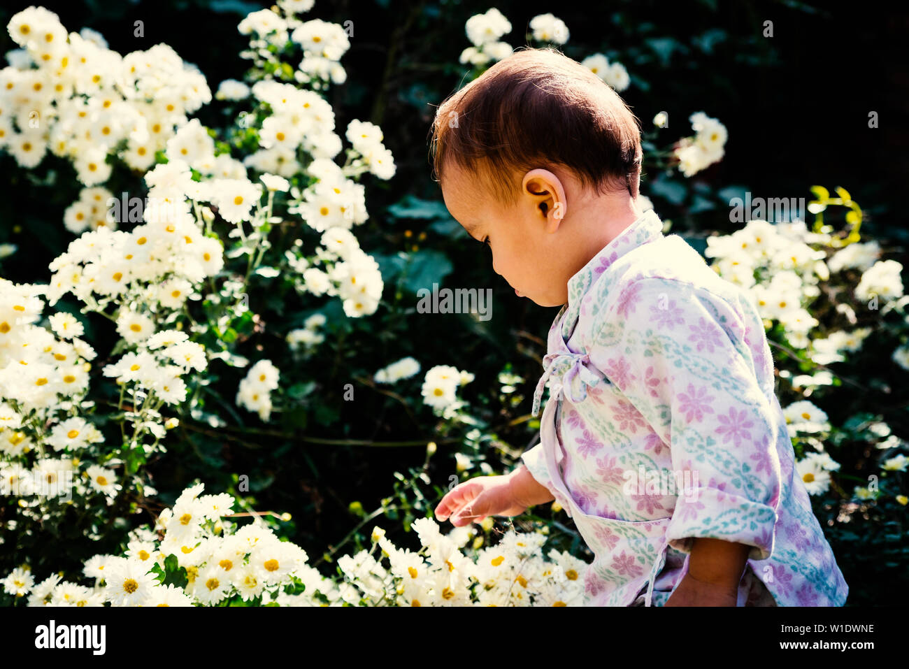 Baby boy indossando il tradizionale nepalese bhoto daura gioca con fiori di colore bianco in giardino Foto Stock