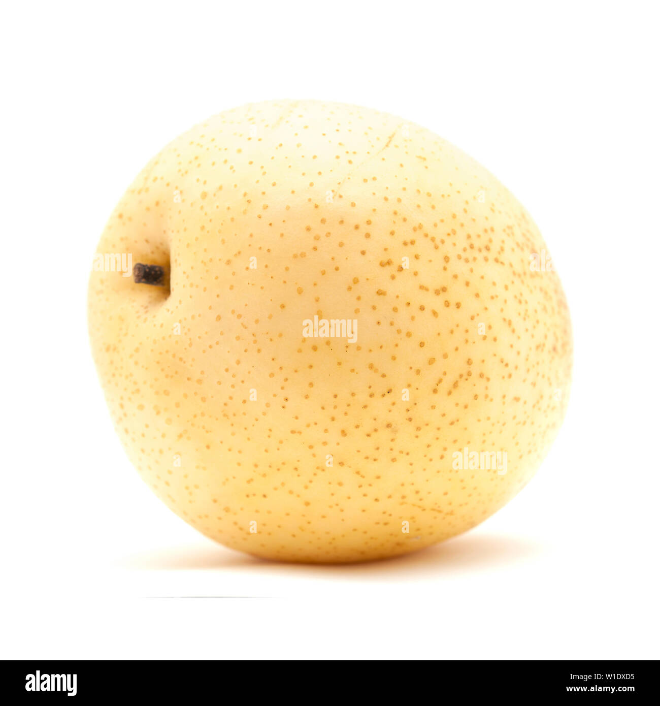 Asian pera frutto isolato su sfondo bianco Foto Stock