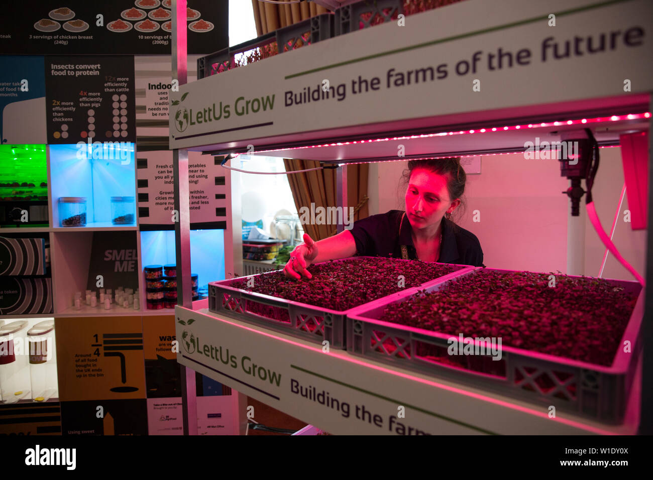 Royal Society Summer Science Exhibition, LettUsGrow mostra di Aeroponic fattorie verticali, Carlton House Terrace, Londra, Regno Unito Foto Stock