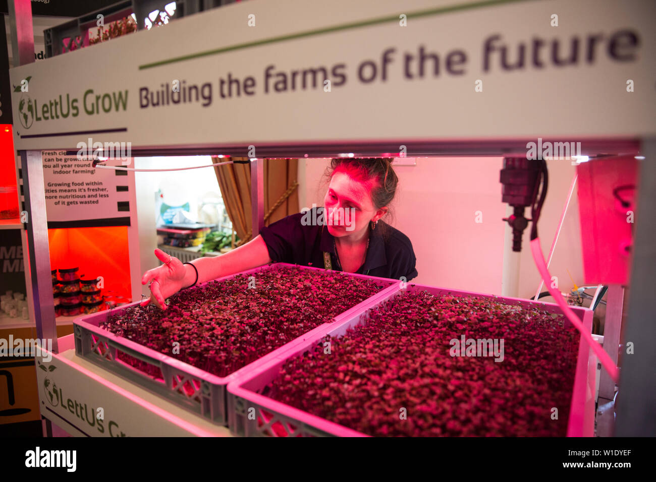 Royal Society Summer Science Exhibition, LettUsGrow mostra di Aeroponic fattorie verticali, Carlton House Terrace, Londra, Regno Unito Foto Stock