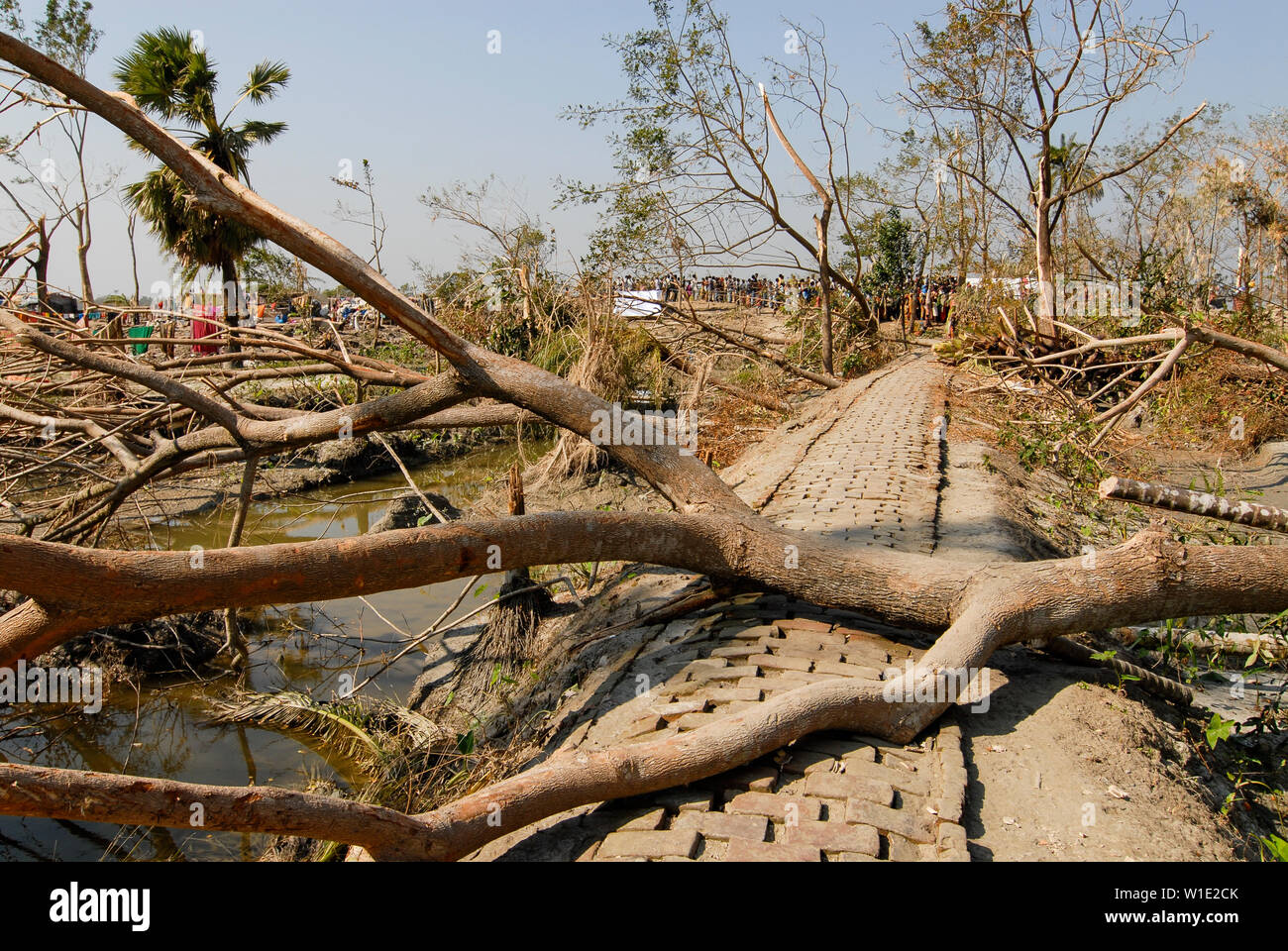Il Bangladesh, il ciclone Sidr e alta marea distruggono villaggi in Southkhali nel distretto Bagerhat / BANGLADESCH, der Zyklon Wirbelsturm Sidr und eine Sturmflut zerstoeren Doerfer Kuestengebiet im von Southkhali Foto Stock