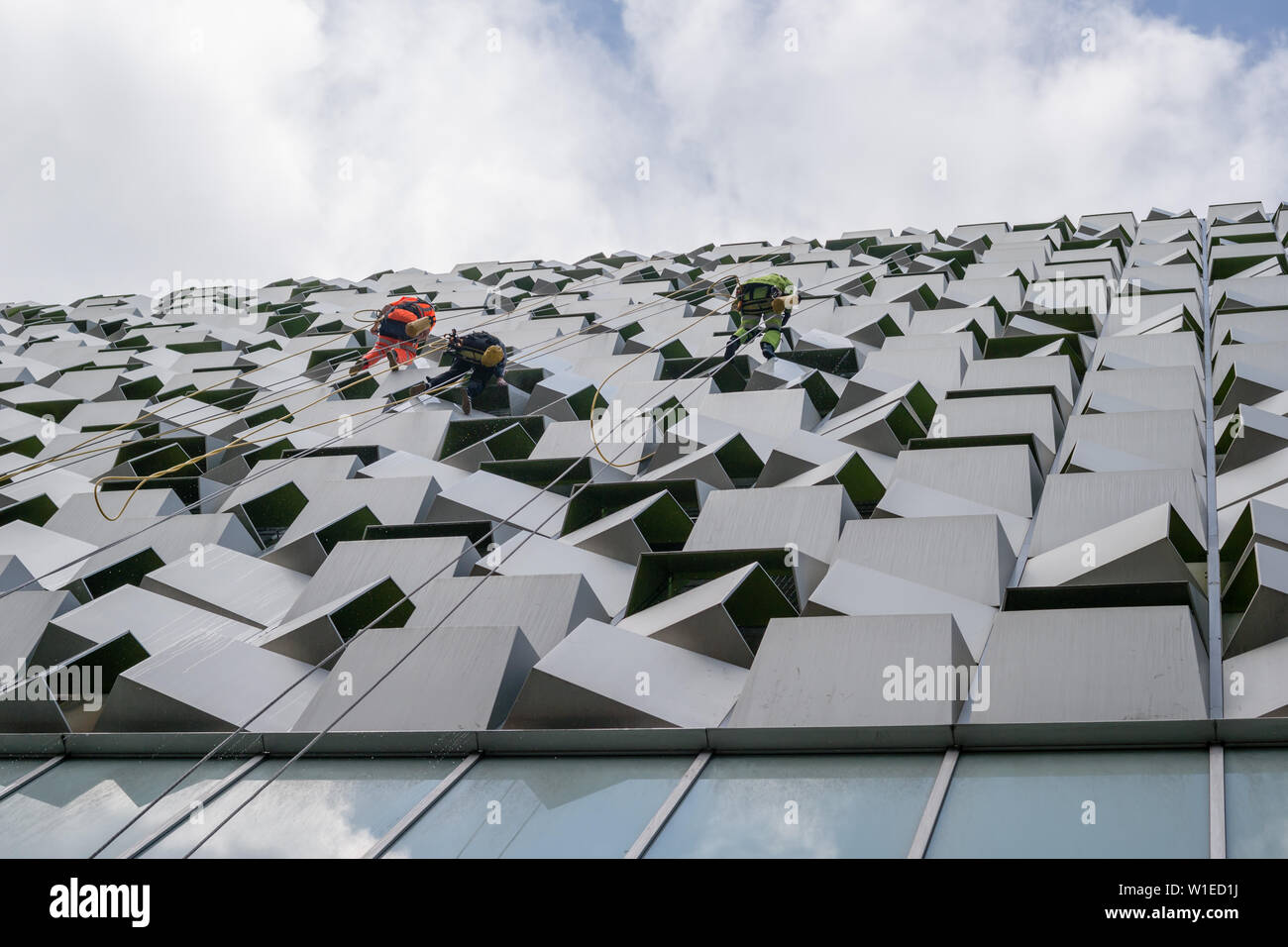 Lavoratori di manutenzione in sicurezza e ingranaggio bosun sedie issata e sospeso su funi pulire l'alto edificio cheesegrater, Sheffield Foto Stock