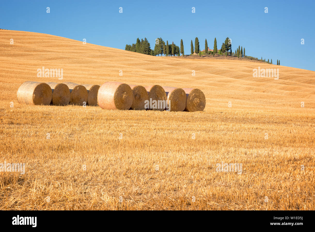 Bellissimo paesaggio tipico della Val d'Orcia in Toscana con balle di fieno in un campo in estate, Val d'Orcia, Toscana, Italia Foto Stock