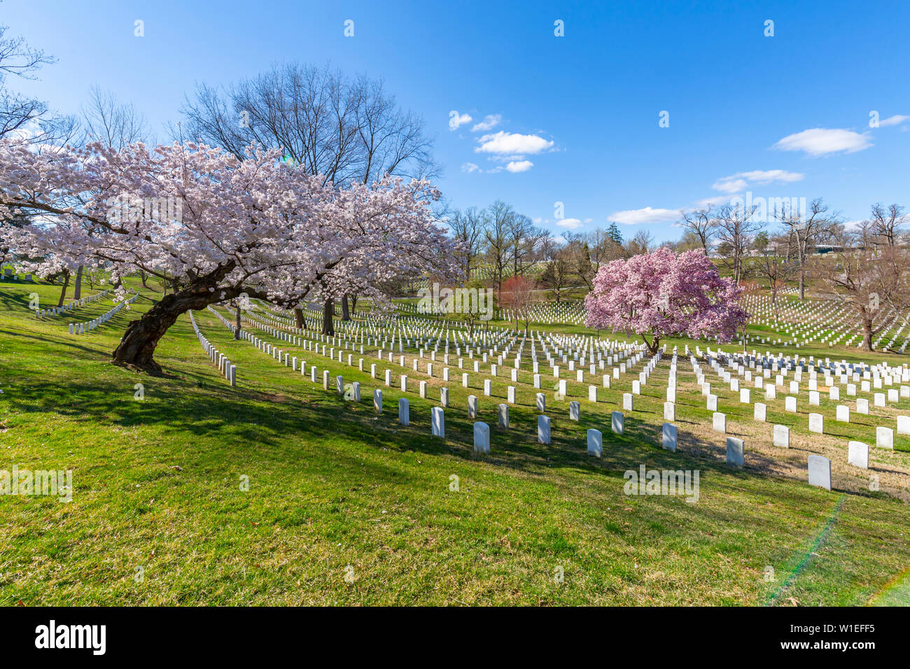 Vista di monumenti per le tombe nel cimitero di Arlington in primavera, Washington D.C., Stati Uniti d'America, America del Nord Foto Stock