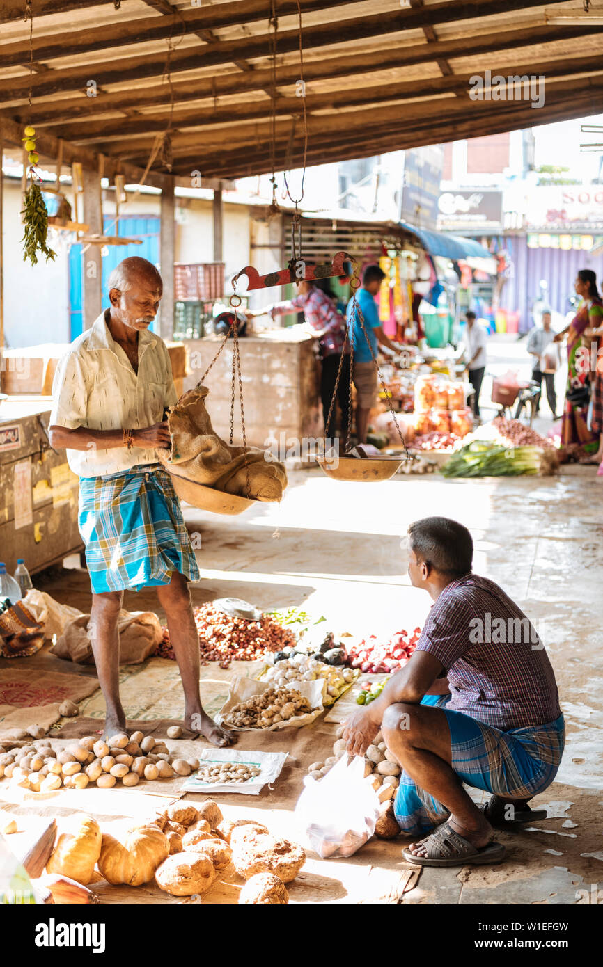 Jaffna, nel nord della provincia, Sri Lanka, Asia Foto Stock