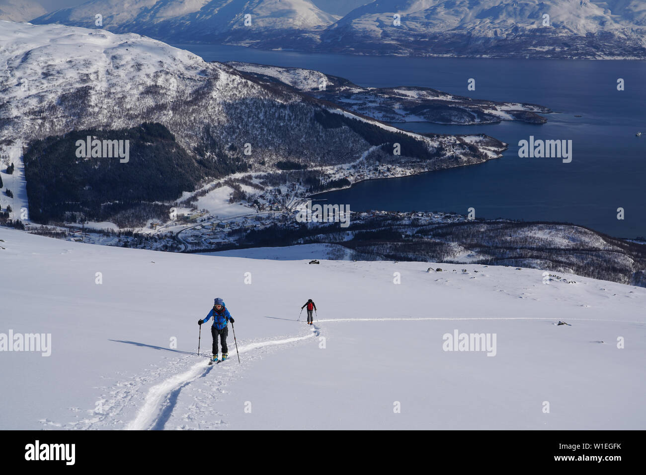 Sci alpinismo nelle Alpi Lyngen, Lyngseidet, penisola di Lyngen, Troms County, Norvegia, Scandinavia, Europa Foto Stock