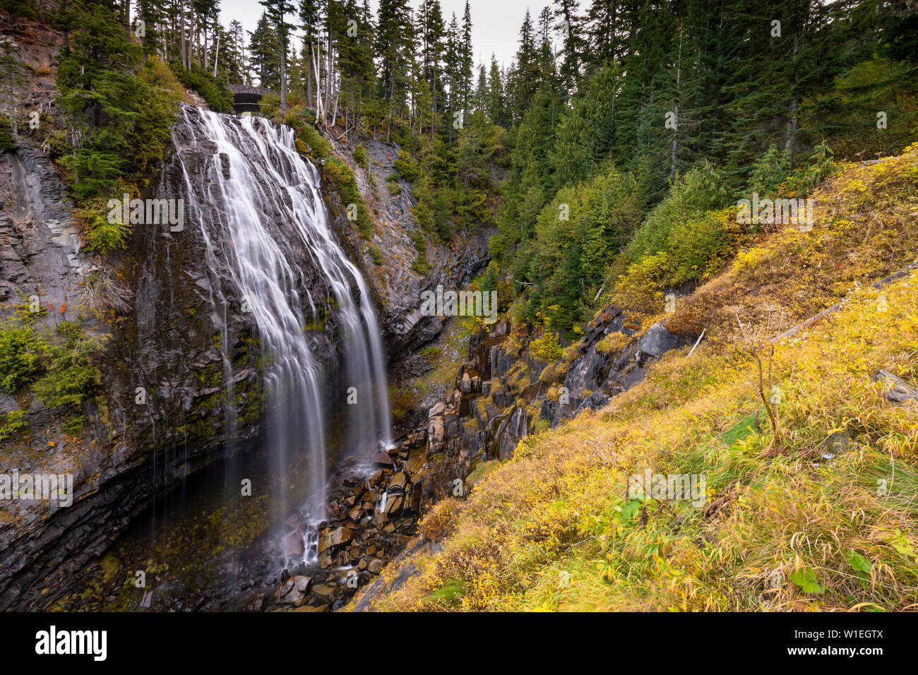 Narada Falls, il Parco Nazionale del Monte Rainier, nello Stato di Washington, Stati Uniti d'America, America del Nord Foto Stock