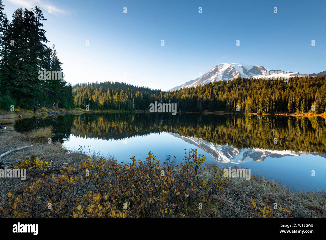 La riflessione sul lago, il Parco Nazionale del Monte Rainier, nello Stato di Washington, Stati Uniti d'America, America del Nord Foto Stock