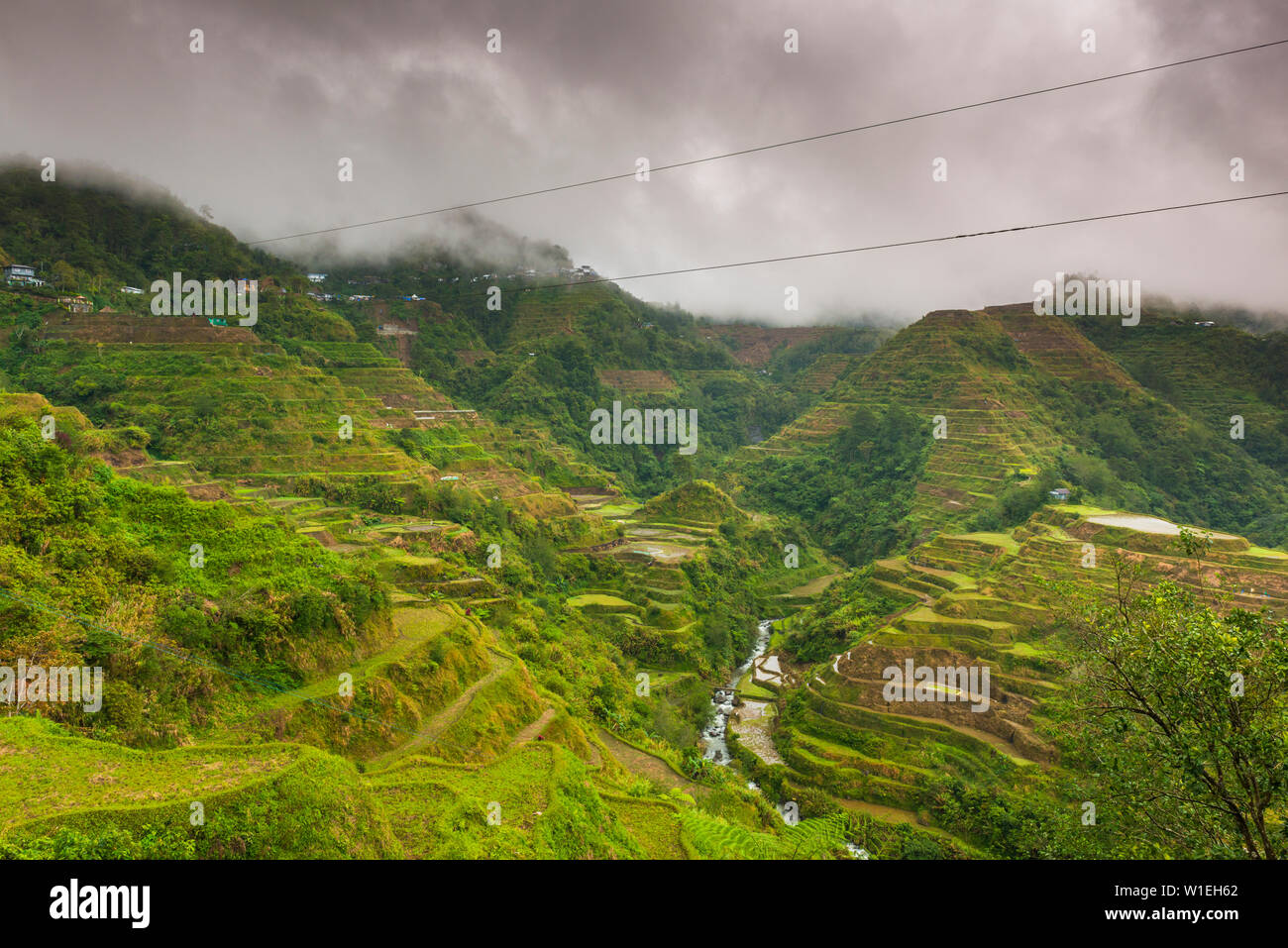 Terrazze di riso di Banaue, Sito Patrimonio Mondiale dell'UNESCO, Luzon, Filippine, Sud-est asiatico, in Asia Foto Stock