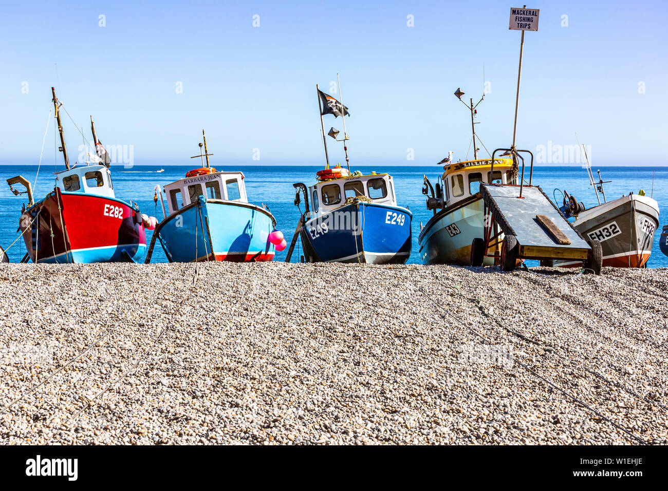 Barche di pescatori sulla spiaggia di birra in South Devon. Foto Stock