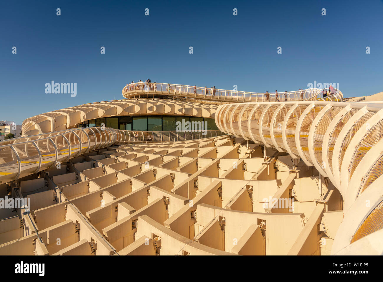 Setas de Sevilla, Metropol Parasol un enorme in legno architettura moderna struttura, Siviglia, in Andalusia, Spagna, Europa Foto Stock