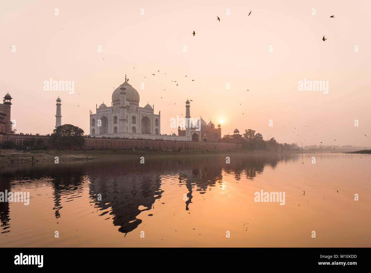 Preso da una barca sul fiume Yamuna dietro il Taj Mahal al tramonto, Sito Patrimonio Mondiale dell'UNESCO, Agra, Uttar Pradesh, India, Asia Foto Stock