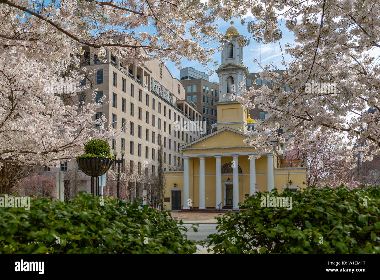 Vista della Basilica di San Giovanni la Chiesa Episcopale e in primavera fioriscono, Washington D.C., Stati Uniti d'America, America del Nord Foto Stock