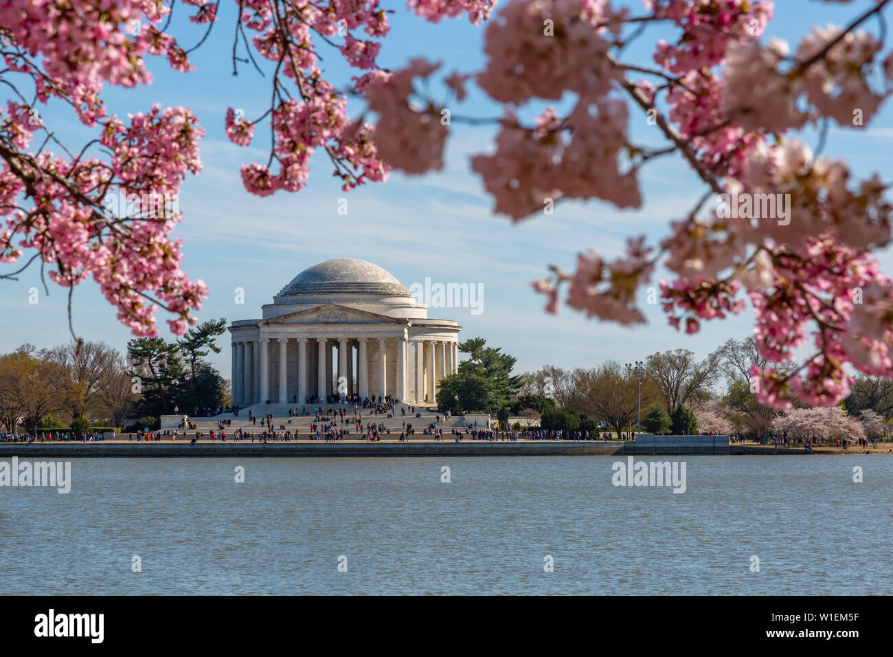 Thomas Jefferson Memorial, Tidal Basin e fiore di ciliegio alberi, Washington D.C., Stati Uniti d'America, America del Nord Foto Stock