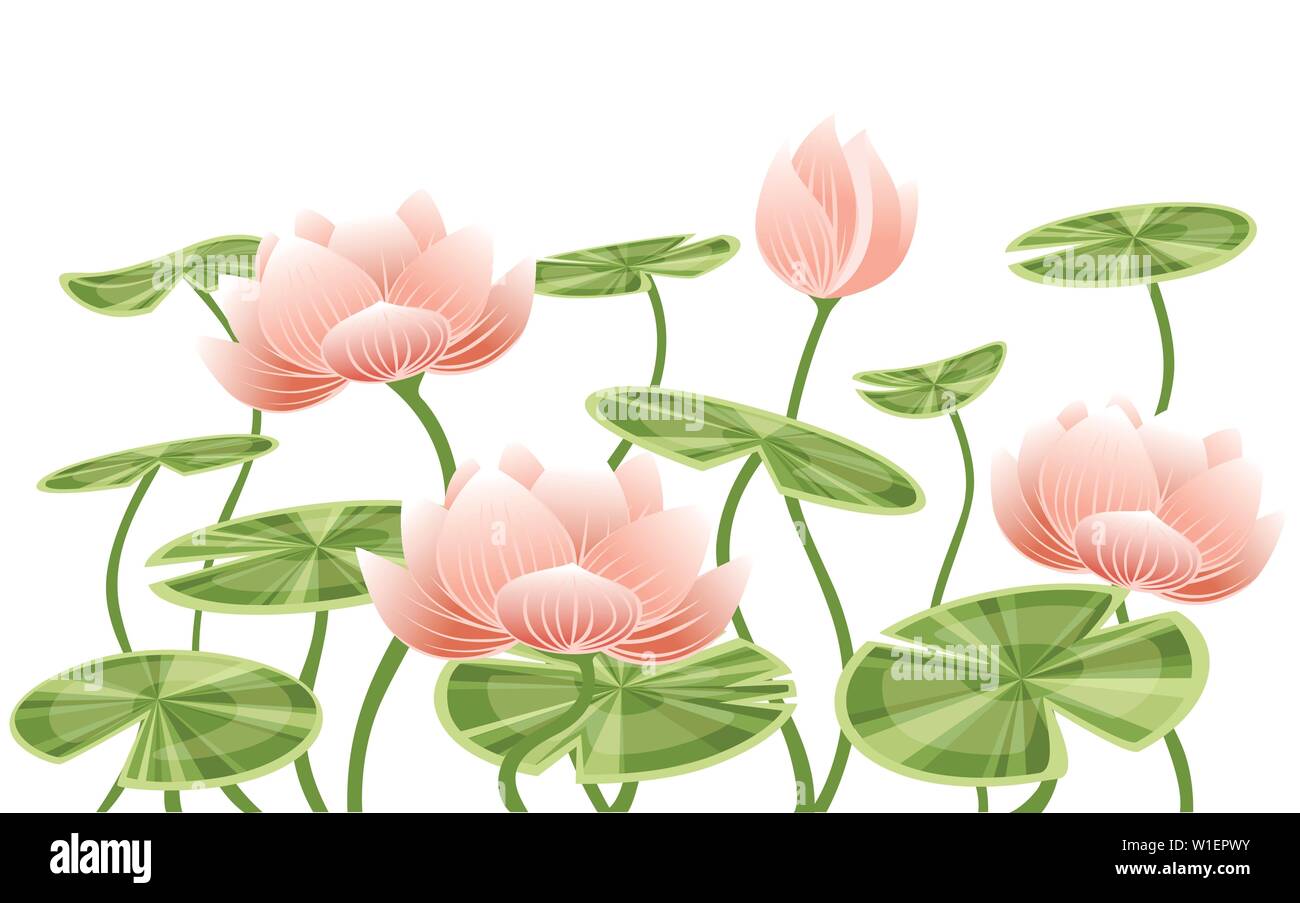Ninfee lotus fiore rosa con foglie verdi piatta illustrazione vettoriale su sfondo bianco. Illustrazione Vettoriale