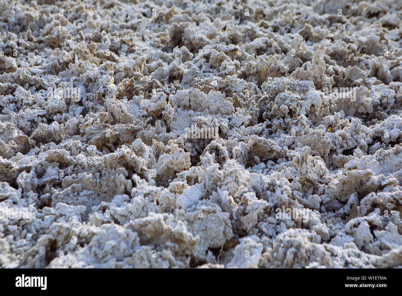 Dettagli di struttura salina di piatto di sale nel bacino di Badwater, bacino endorheic, Death Valley National Park, Inyo, California, USA Foto Stock