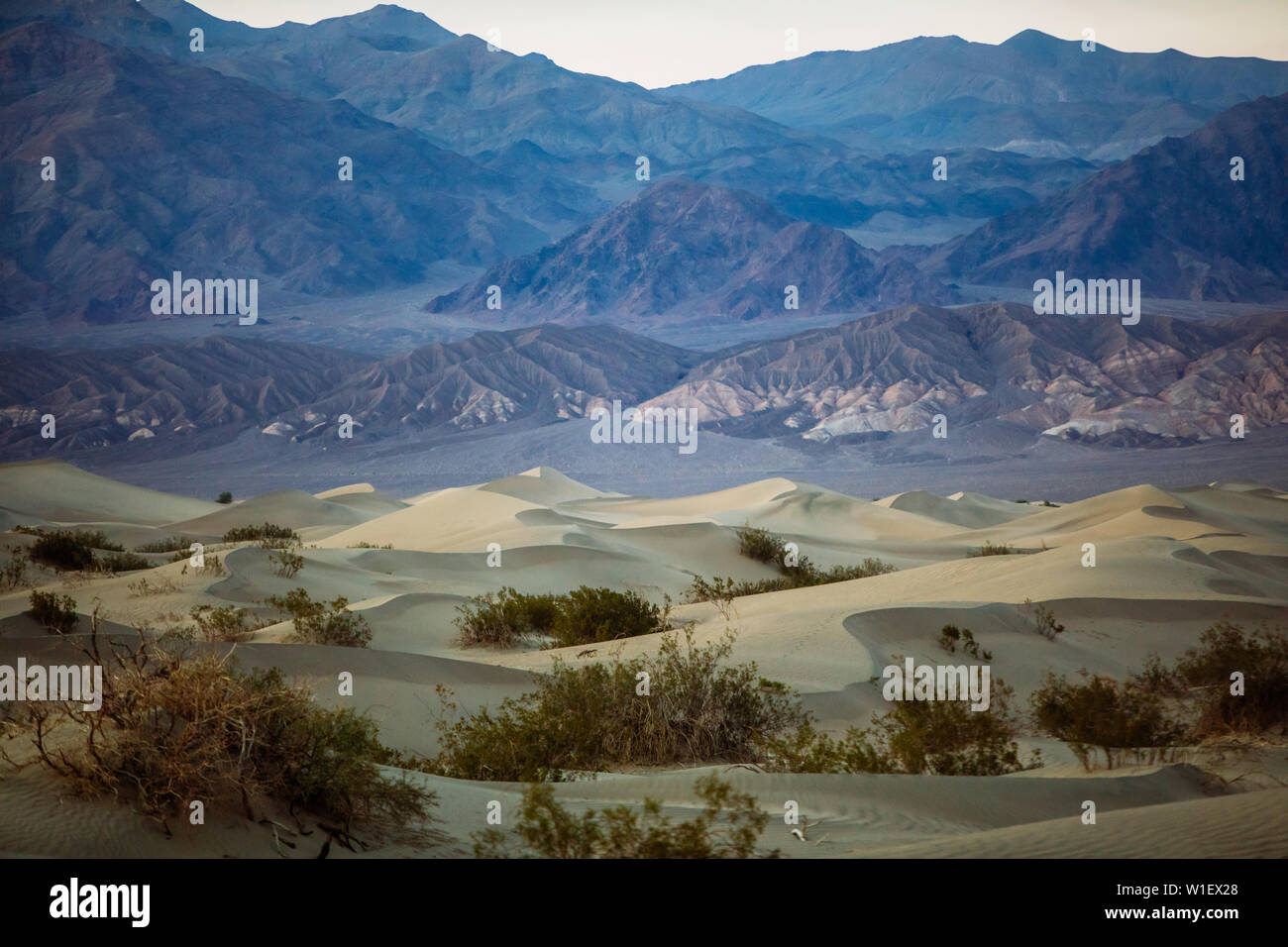 Mesquite Flats Sand Dunes al crepuscolo in stovepipe Wells, Death Valley National Park, California, Stati Uniti Foto Stock