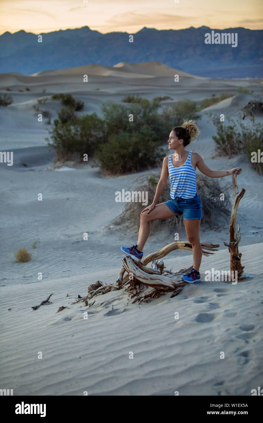 Donna turistica in piedi su un albero di ginepro secco in Mesquite Flats Sand Dunes al crepuscolo in stovepipe Wells, Death Valley National Park, California, Stati Uniti Foto Stock