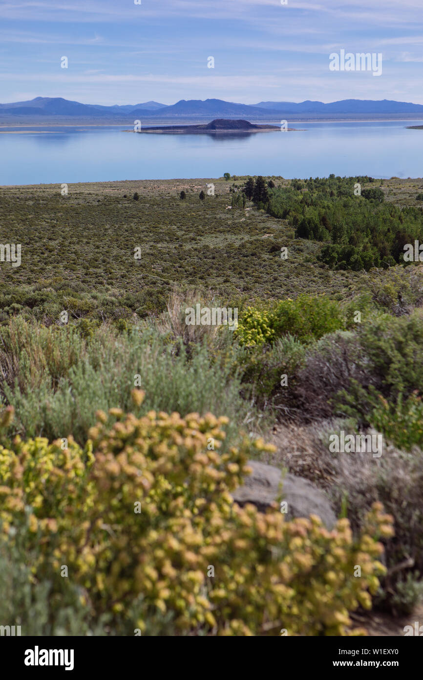 Paoha Island nel Mono Lake Park vista dal Mono Basin Visitor Center, Lee Vining, California, USA Foto Stock