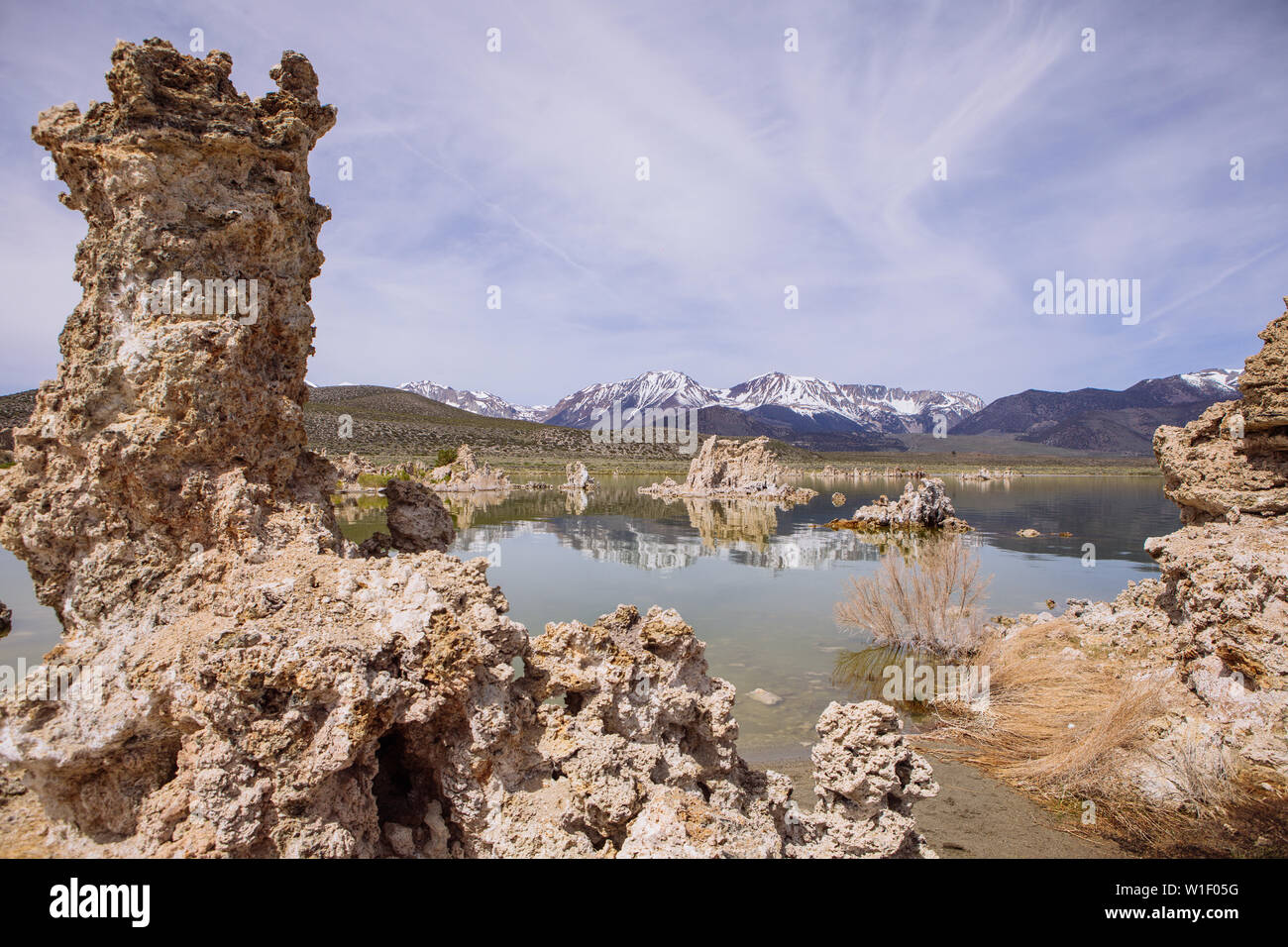 Tufas nel lago Mono con le montagne innevate sul retro, calciato-carbonate guglie e Knobs, Lee Vining, California, Stati Uniti Foto Stock