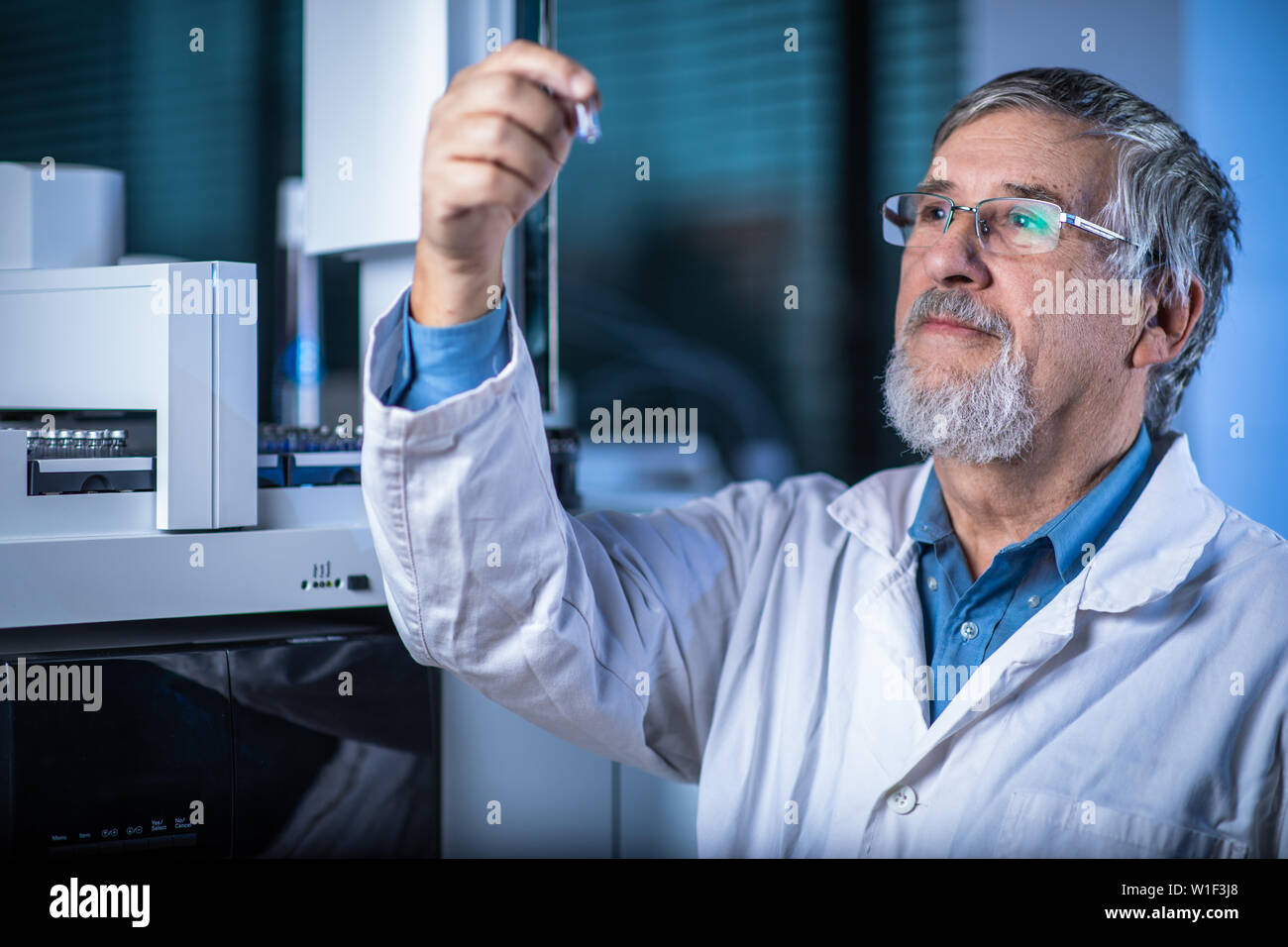 Senior Scientist in un laboratorio di chimica effettuando ricerche - guardando la gas cromatografia campioni, preparare l'analisi su un moderno chromatograp gas Foto Stock