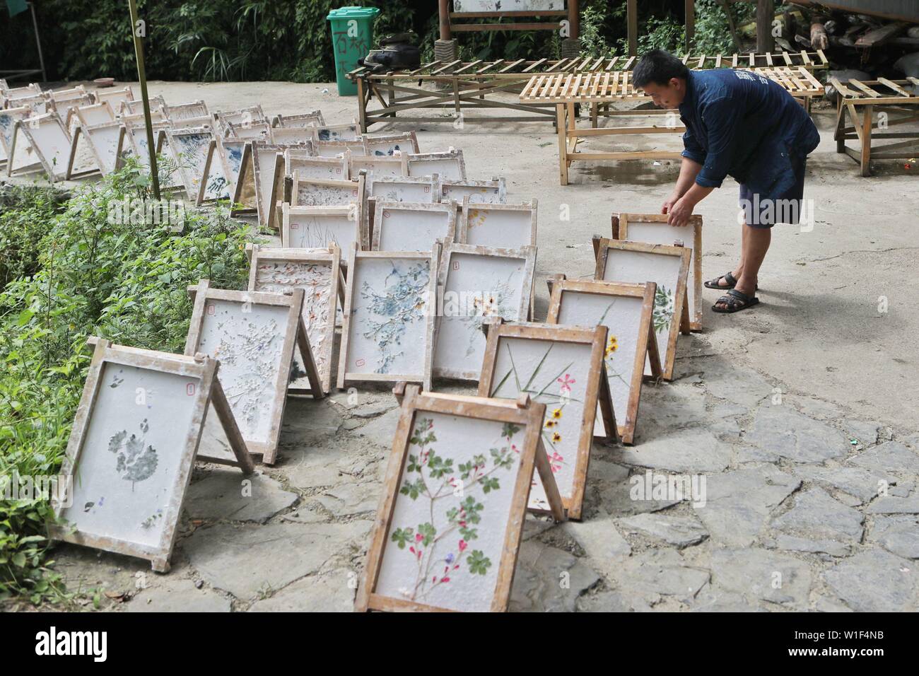 Danzhai, della Cina di Guizhou. 1 Luglio, 2019. Un papermaker asciuga la carta fatta con tecniche tradizionali nel villaggio Shiqiao di Danzhai County, a sud-ovest della Cina di Guizhou, 1 luglio 2019. Villaggio Shiqiao è famosa per il nazionale patrimonio culturale immateriale della tradizionale produzione di carta. In questi ultimi anni, locale papermakers si sono combinate con le tecniche tradizionali con innovazione culturale, rendendo il mestiere antico di un eye-catcher nel settore del turismo. Credito: Ou Dongqu/Xinhua/Alamy Live News Foto Stock