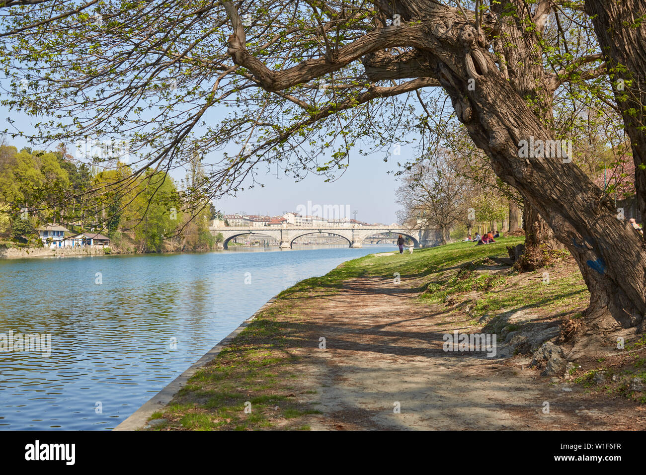 Fiume Po percorso banca con alberi e persone in una giornata di sole e cielo blu in Piemonte, Torino, Italia Foto Stock