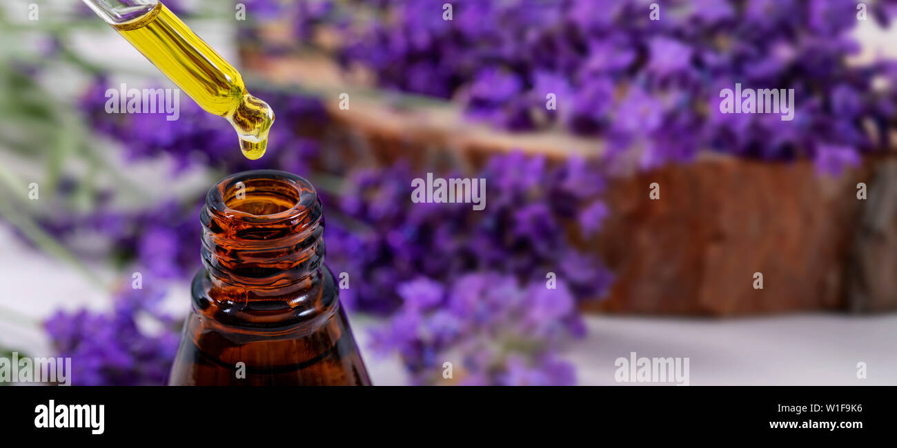 L'olio essenziale di lavanda gocciolare da un contagocce sopra la bottiglia. spazio copia Foto Stock