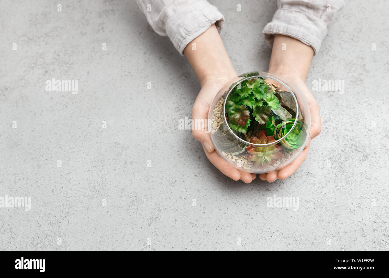 Donna che mantiene mini florarium vetro, spazio di copia Foto Stock