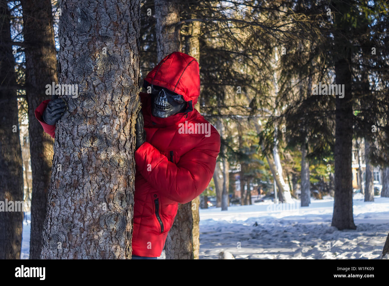 Maniac da dietro un albero è guardare la vittima Foto Stock