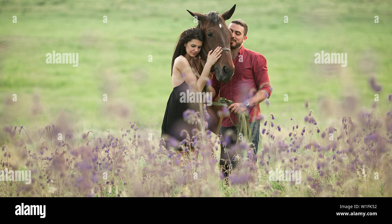 Coppia giovane è abbracciando un cavallo marrone sul prato tra i fiori selvatici. Foto Stock