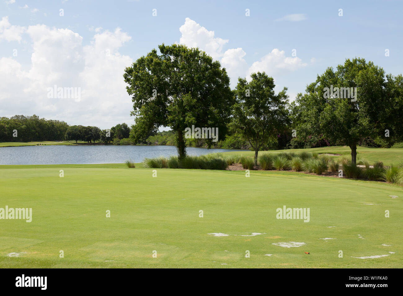 Un putting green accanto a un pericolo d'acqua al campo da golf Fox Club di Palm City, Florida, Stati Uniti. Foto Stock