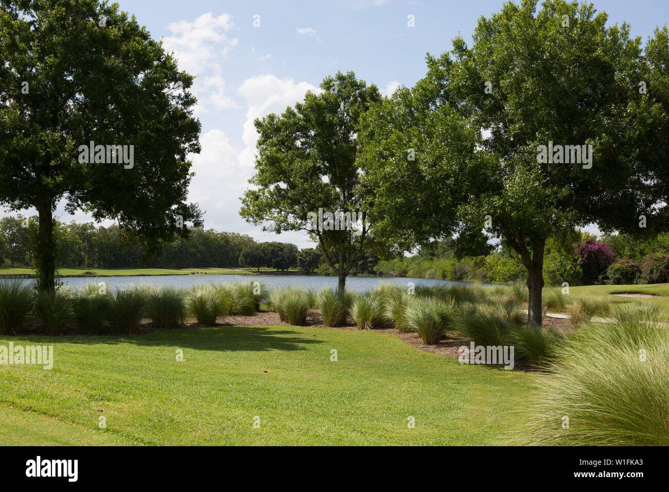 Gli alberi si trovano accanto a un pericolo d'acqua al campo da golf Fox Club di Palm City, Florida, Stati Uniti. Foto Stock