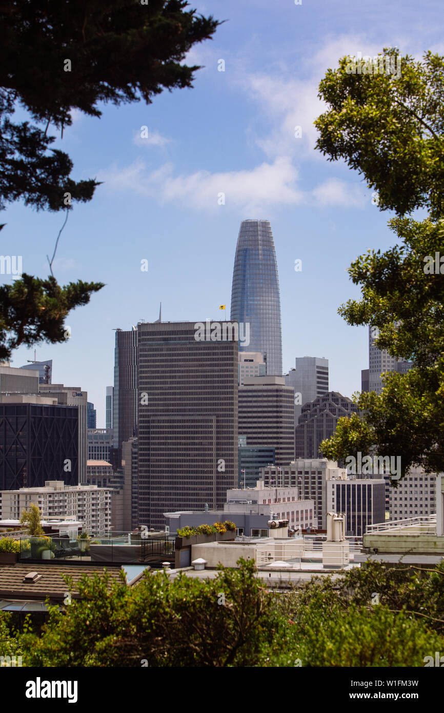 Quartiere finanziario di San Francisco da Telegraph Hill, California, Stati Uniti Foto Stock