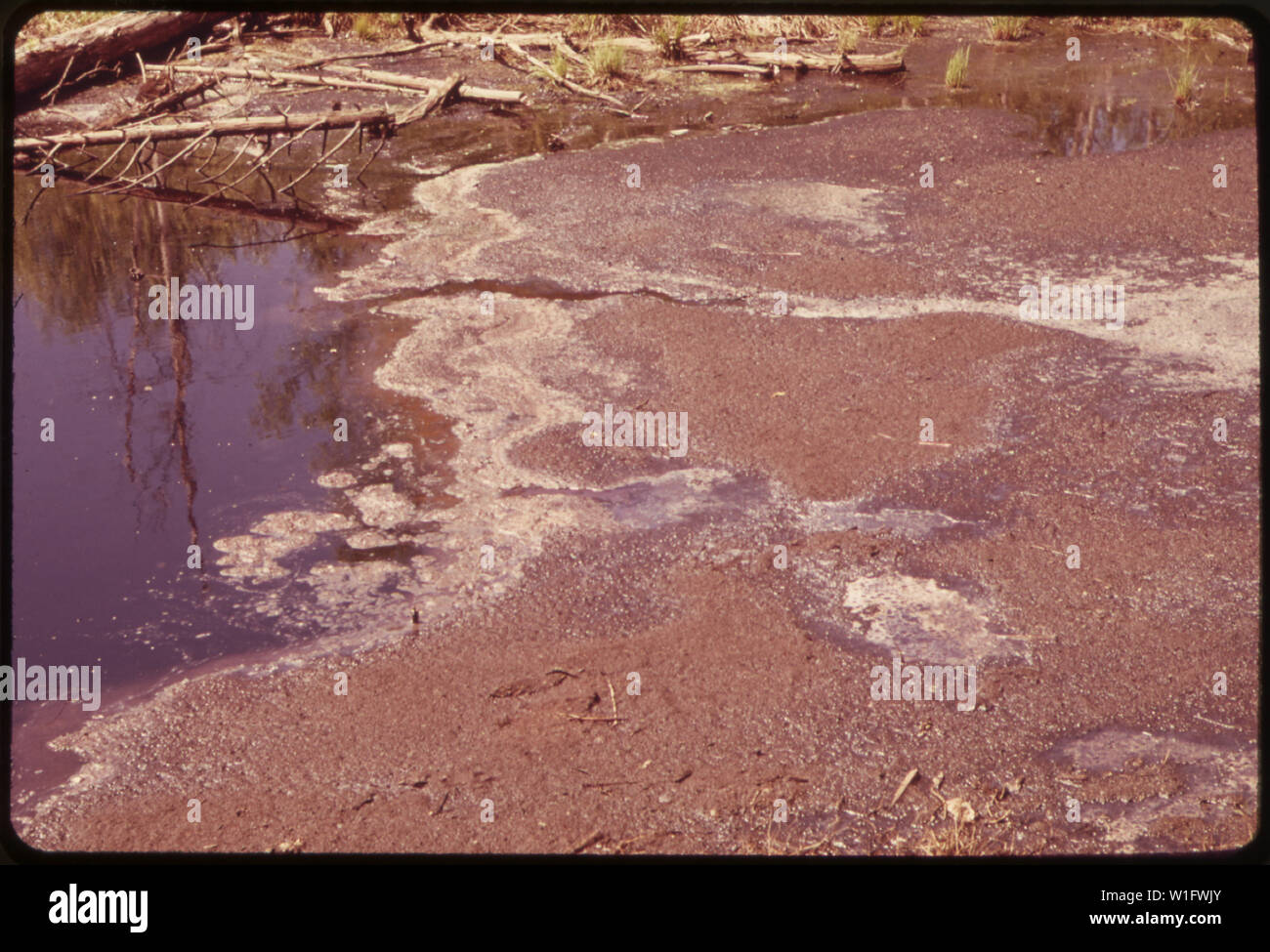 LEACHINGS dalla Georgia Pacific Paper Company di corteccia di rifiuti e sostanze chimiche inquinare un affluente del ST. CROIX RIVER Foto Stock