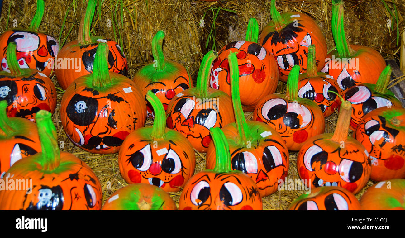 Fronti della zucca Foto Stock