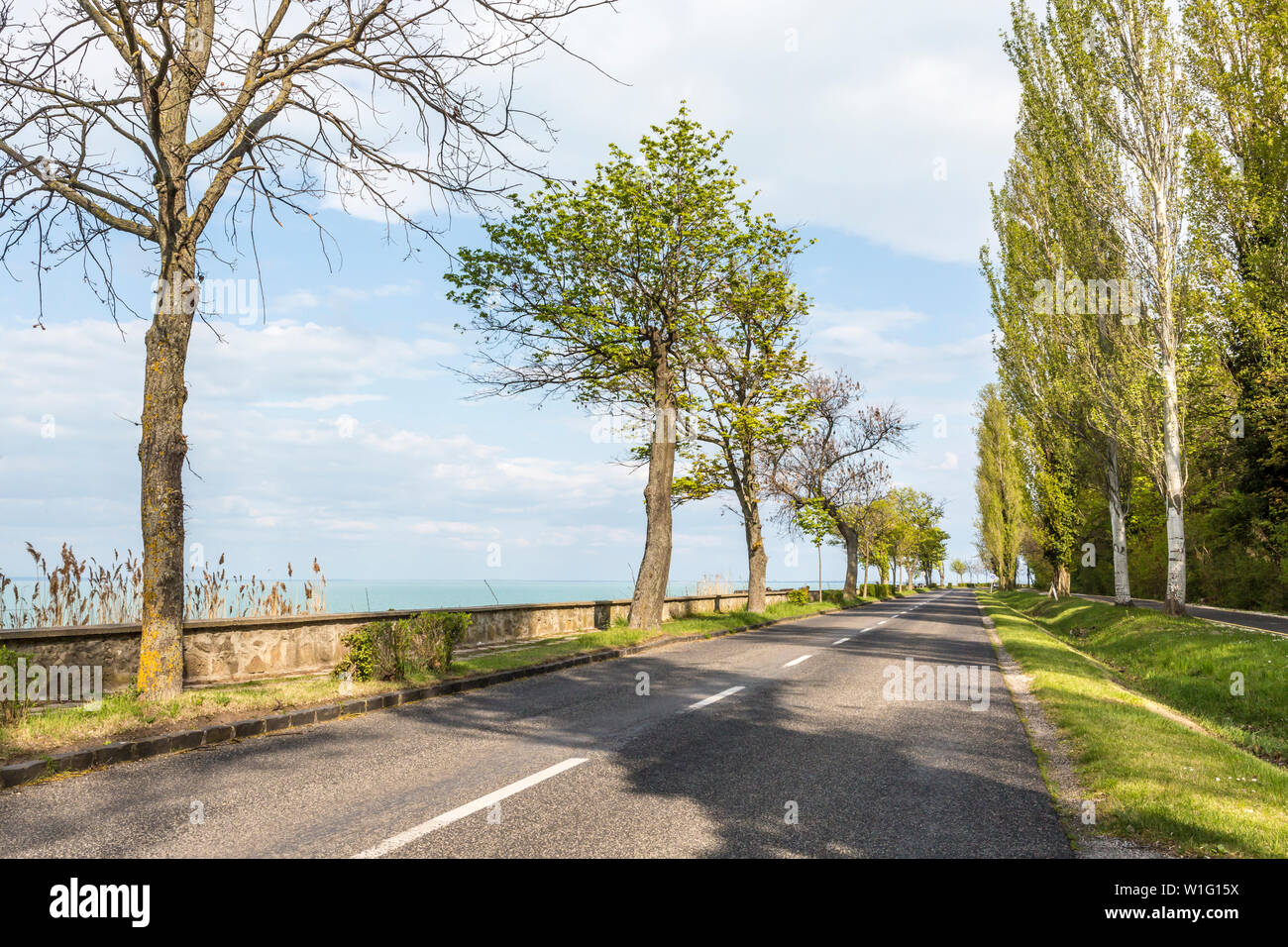 Strada di campagna con alberi in primavera, Tihany, Lago di Balaton, Ungheria Foto Stock