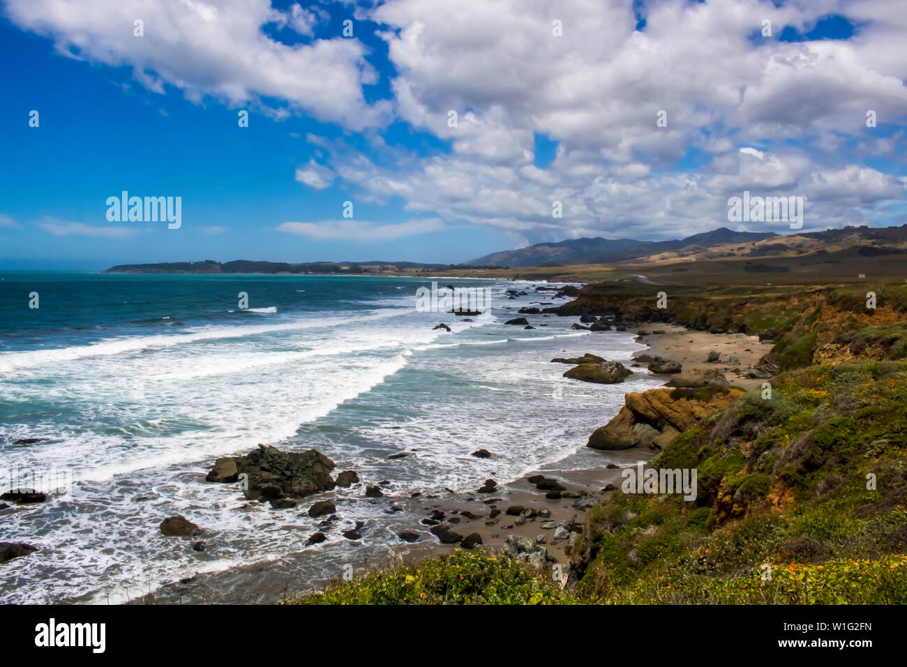 Colorato paesaggio costiero con fiori di primavera sotto il cielo blu e nuvole costa centrale della California. Foto Stock