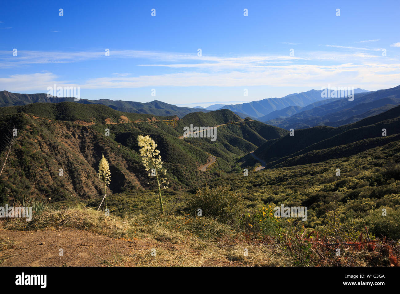 California paesaggio di montagna Foto Stock