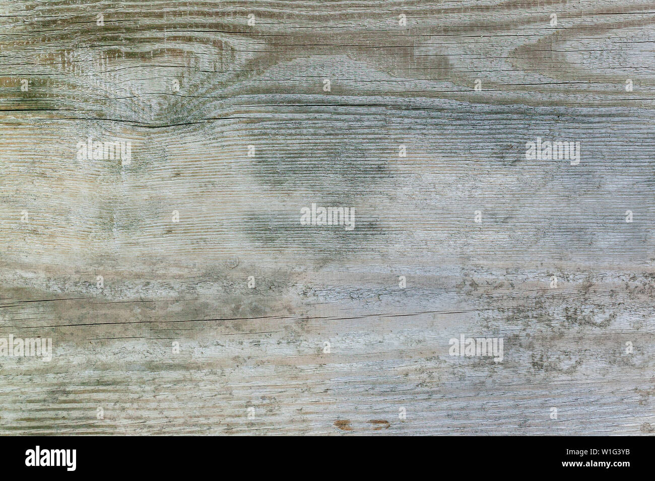 La texture del legno naturale. Sfondo di età compresa tra tavole di pino Foto Stock