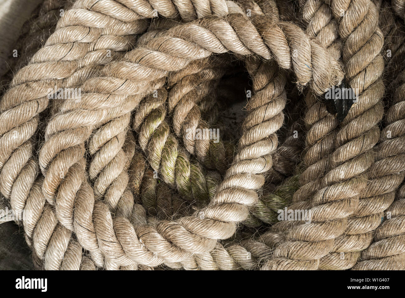 Una lunghezza a spirale di pesanti la cima di ormeggio per barche, utilizzato anche per allenamento pesante / fitness training. Foto Stock