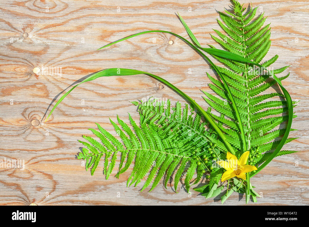 Disposizione del fiore di foglie di felce e gigli gialli su uno sfondo di legno. Composizione di estate Foto Stock