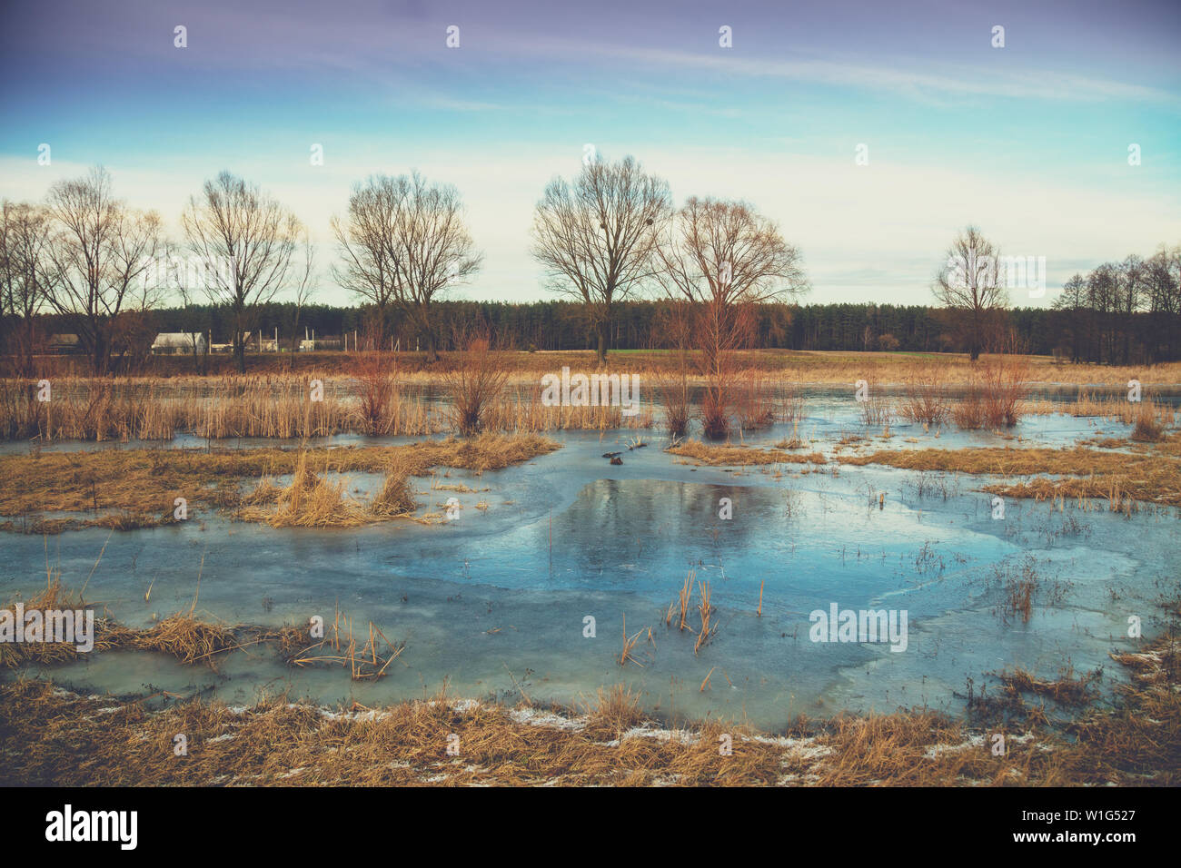 Il lago in inverno durante il primo gelo Foto Stock
