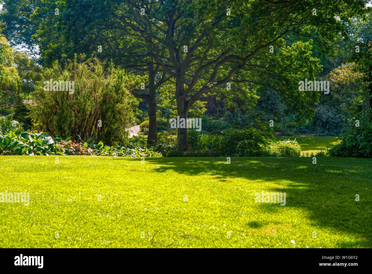 Beth Chatto giardino, Elmstead, Colchester, Suffolk, Regno Unito Foto Stock