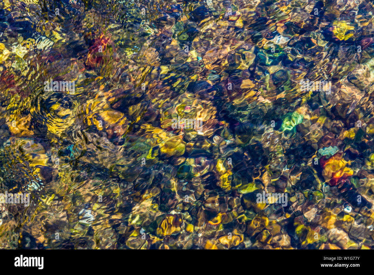 Pietre sul fondo del fiume poco profondo Creuse, Indre-et-Loire, Francia. Foto Stock