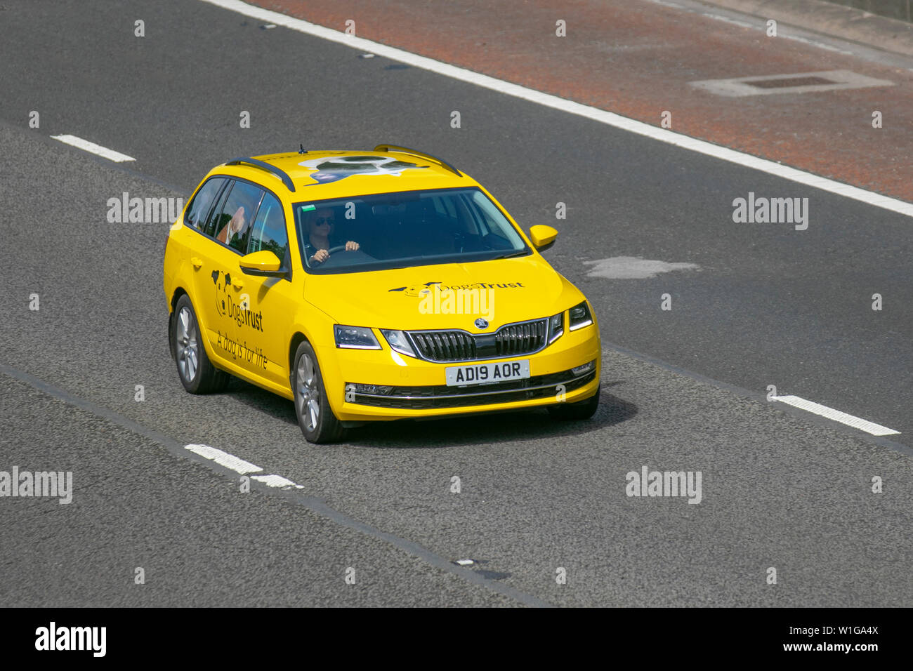 2019 giallo Škoda Octavia SE L TDI 4X4 S-A; M6, Lancaster, Regno Unito; il traffico veicolare, trasporti, moderno, carrozze salone, nord-legato sulla 3 corsie. Foto Stock