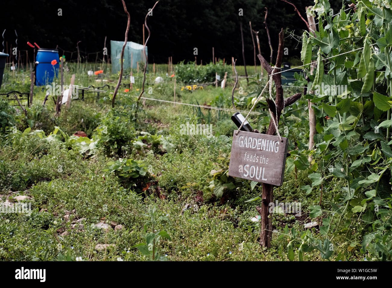 Un segnale circa la guarigione di giardinaggio per l anima in una patch/campo Foto Stock