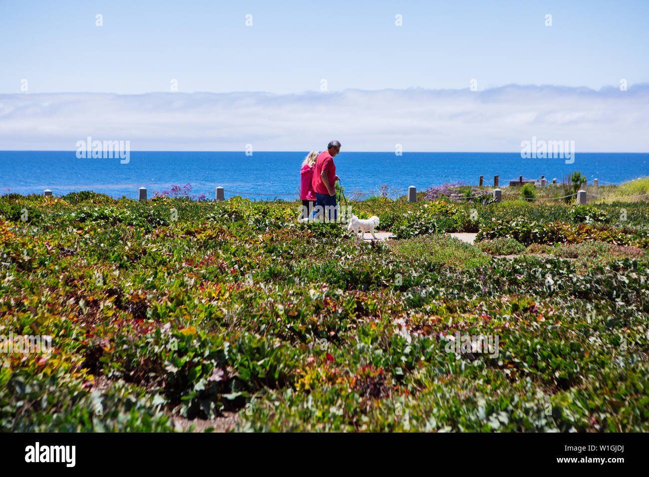 Coppia a piedi sulla passeggiata nel Dinosaur Cave Park a Pismo Beach, San Luis Obispo, California, Stati Uniti Foto Stock