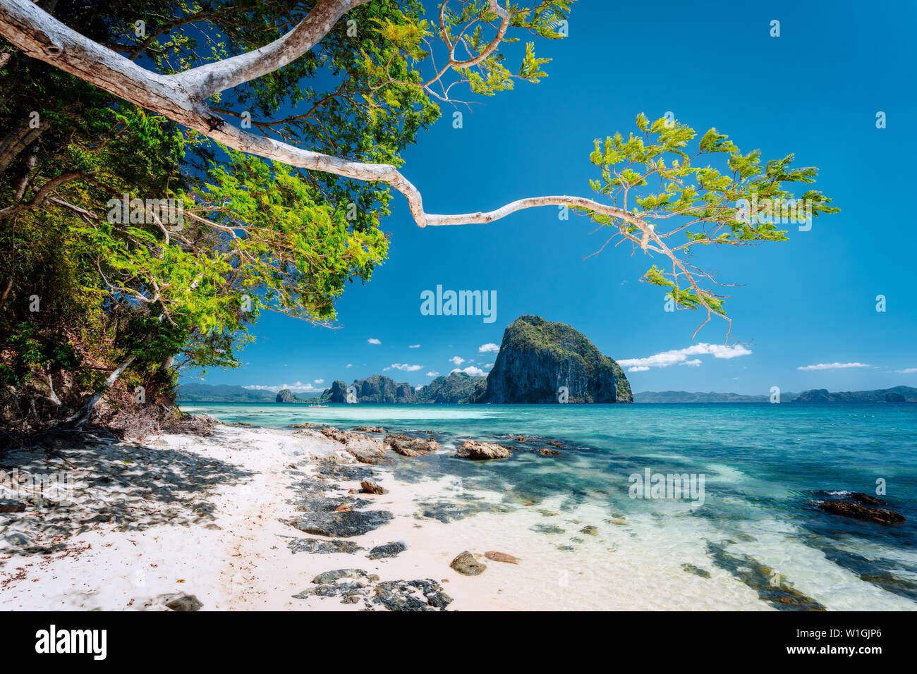 Bellissima esotica natura meridionale impressionante epic isole tropicali, Filippine, Palawan. Foto Stock